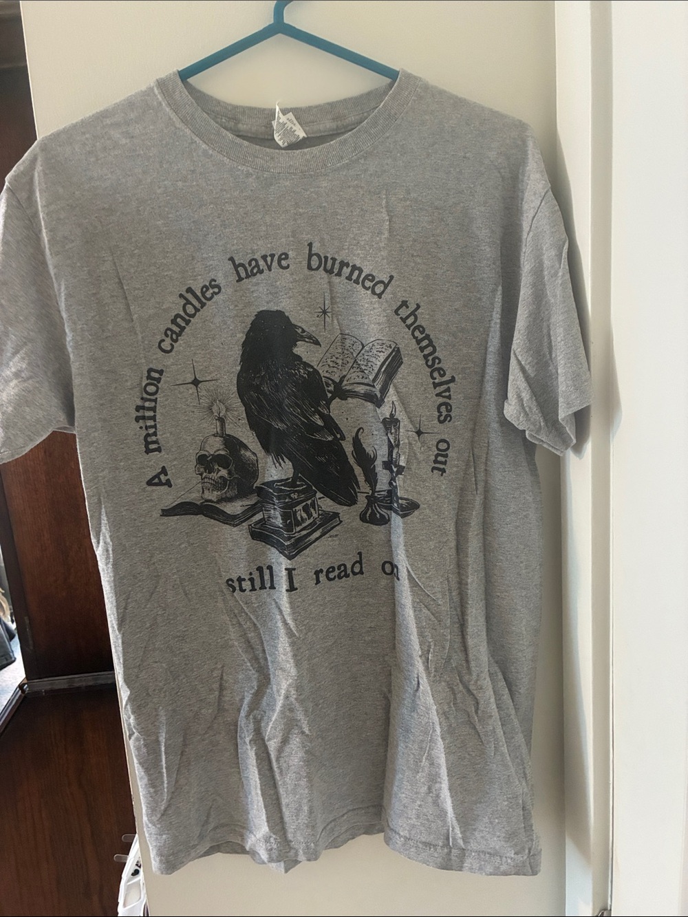 Gray Graphic Raven T-Shirt - Reading Quote Size M